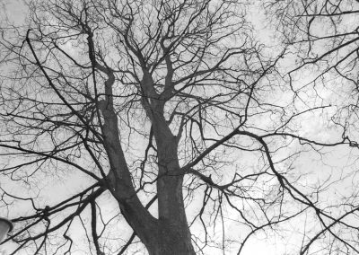 Soosan Danesh, Black & White Photograph, Cramond 2