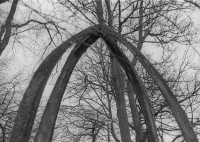 Soosan Danesh, Black & White Photograph, Peace Arch Meadows